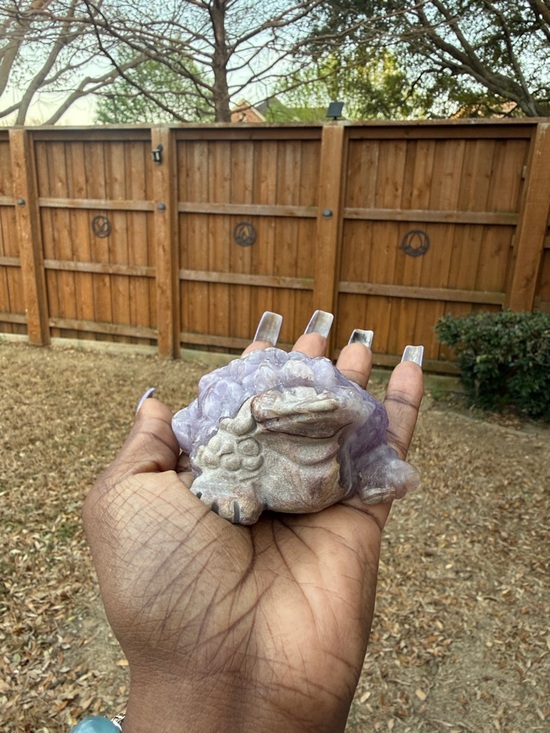 Crystal Luxury Psychology Accessories - Dream Amethyst Crystal Money Toad 12 oz
